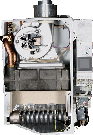 bx pt suprima l inner 2.gif